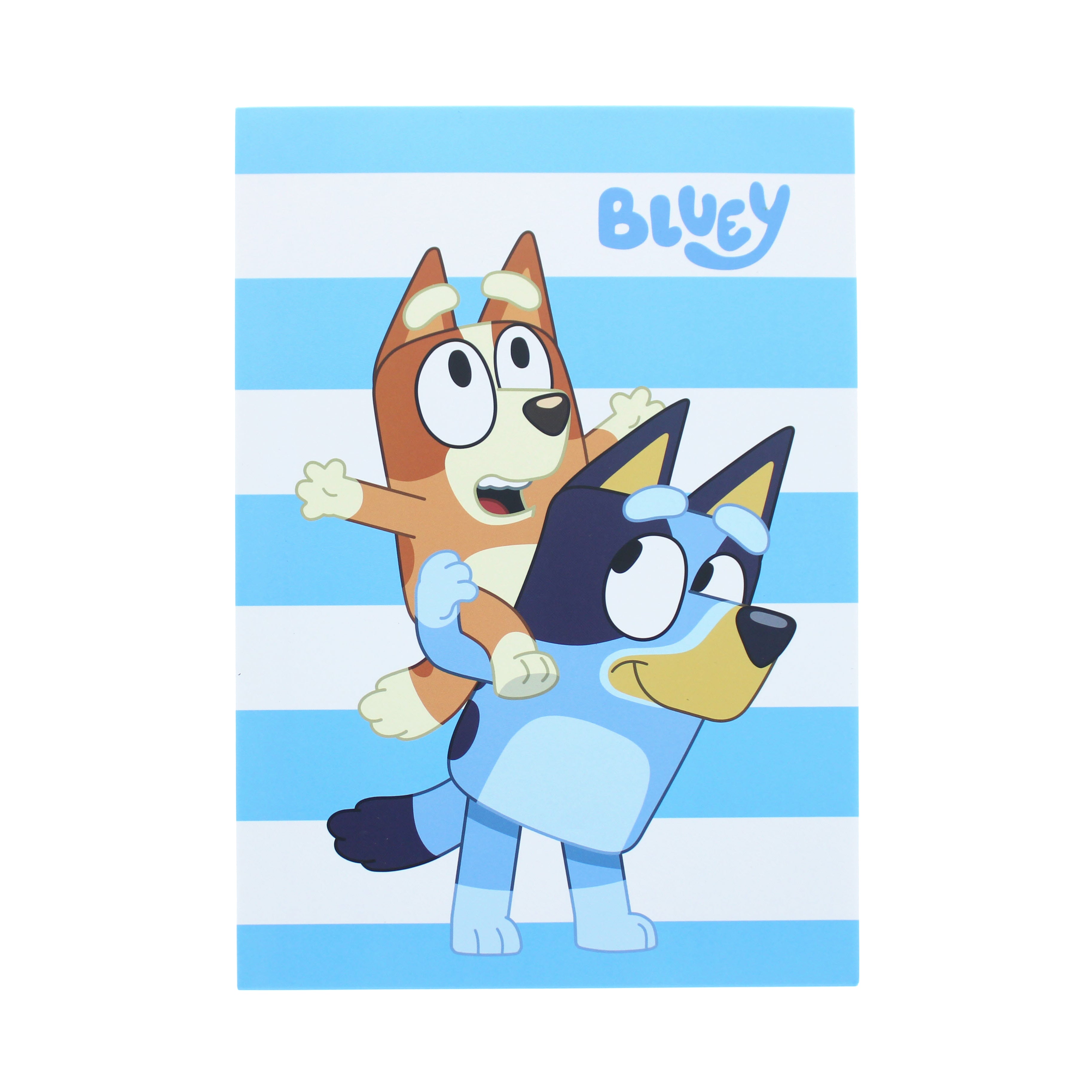 Bluey Stick & Stamp Set