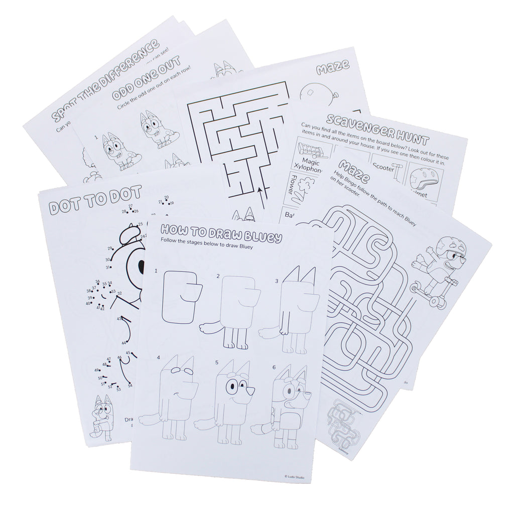 Bluey Activity Set