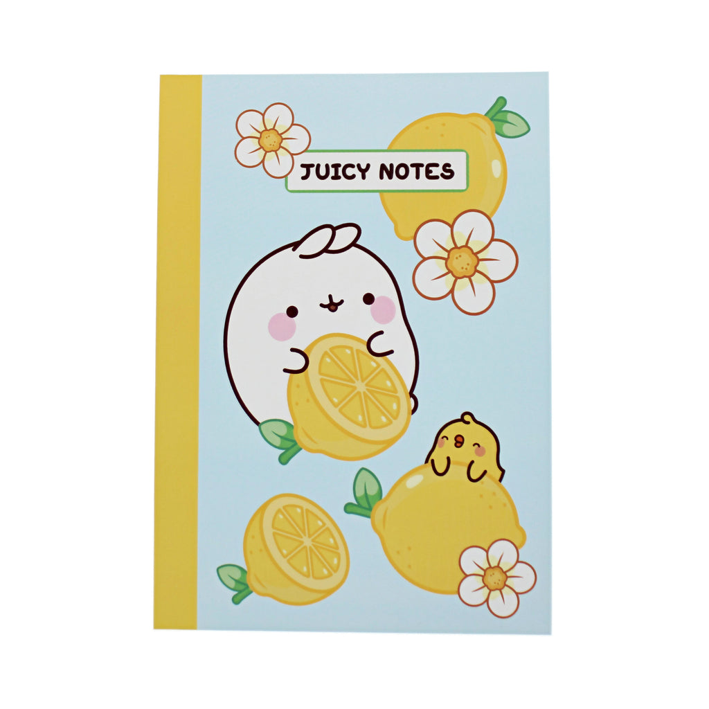 Molang Fruits Composition Book