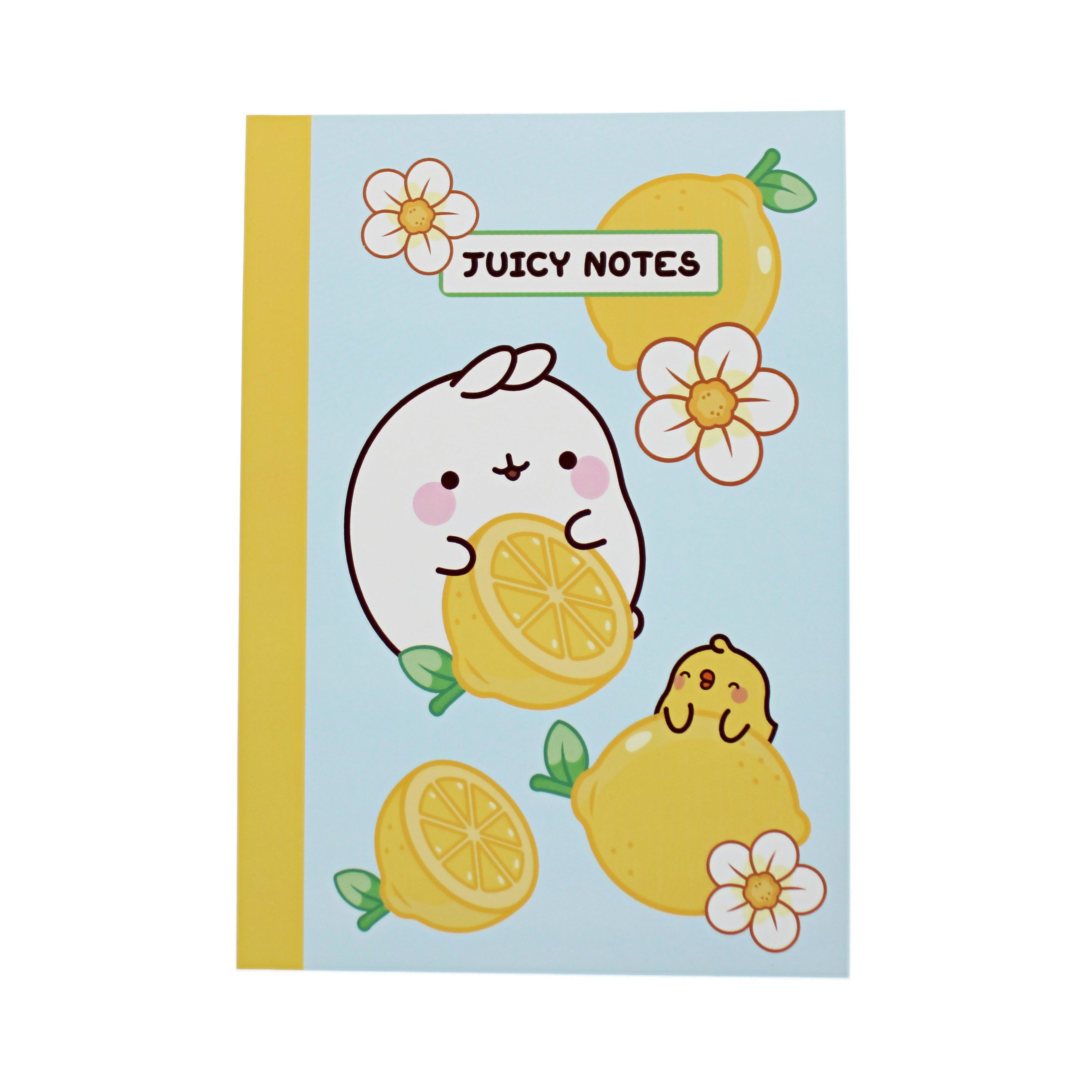 Molang Fruits Composition Book