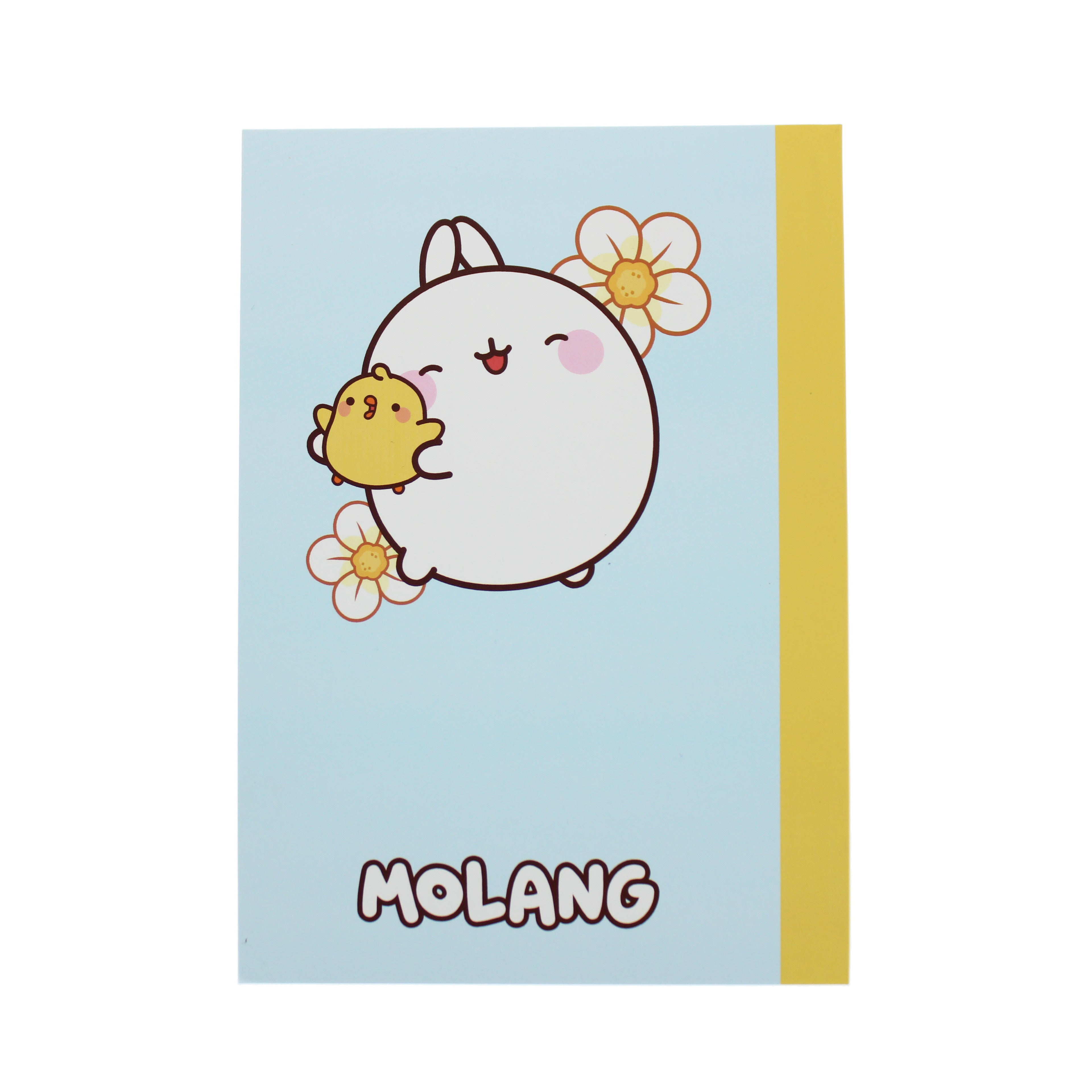 Molang Fruits Composition Book