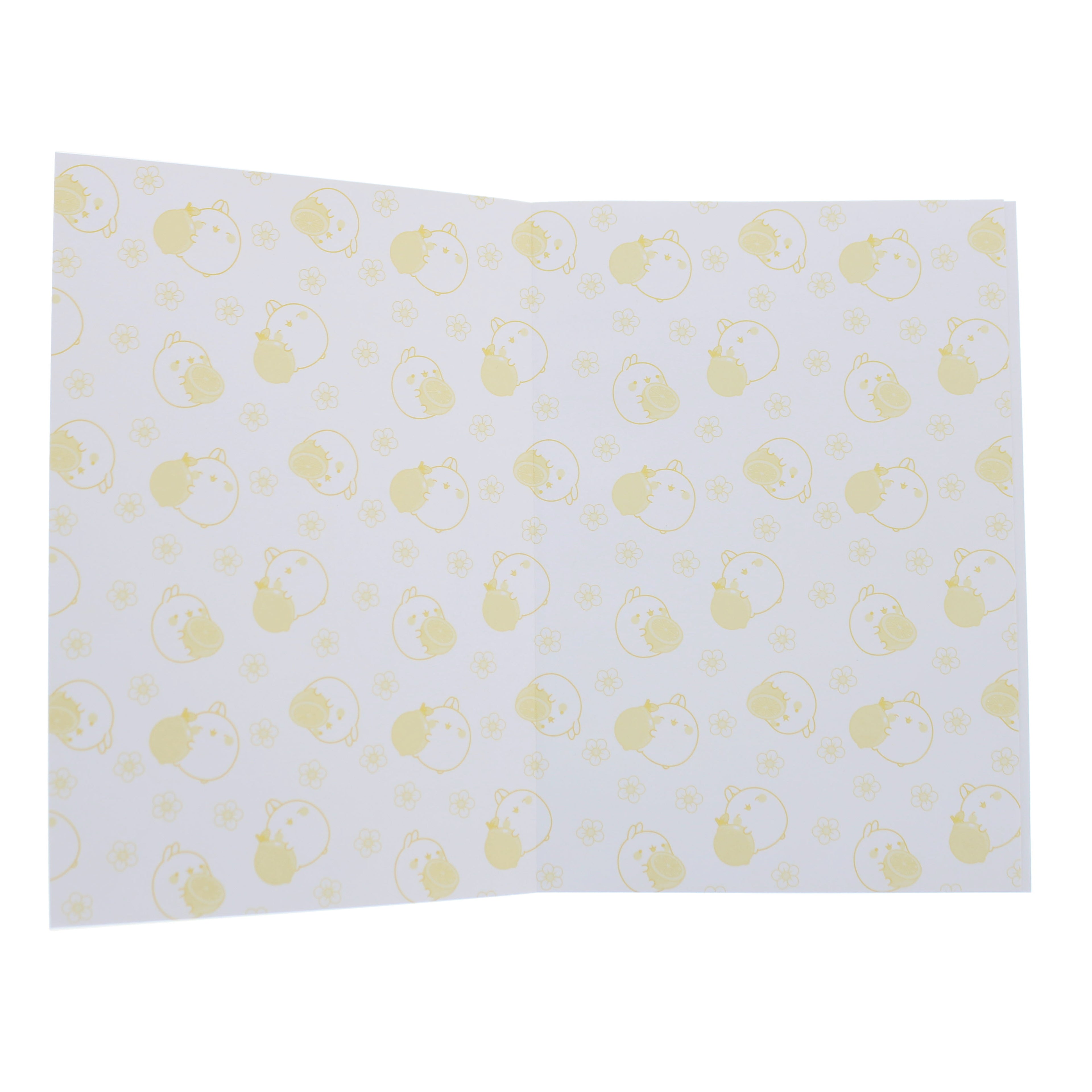 Molang Fruits Composition Book