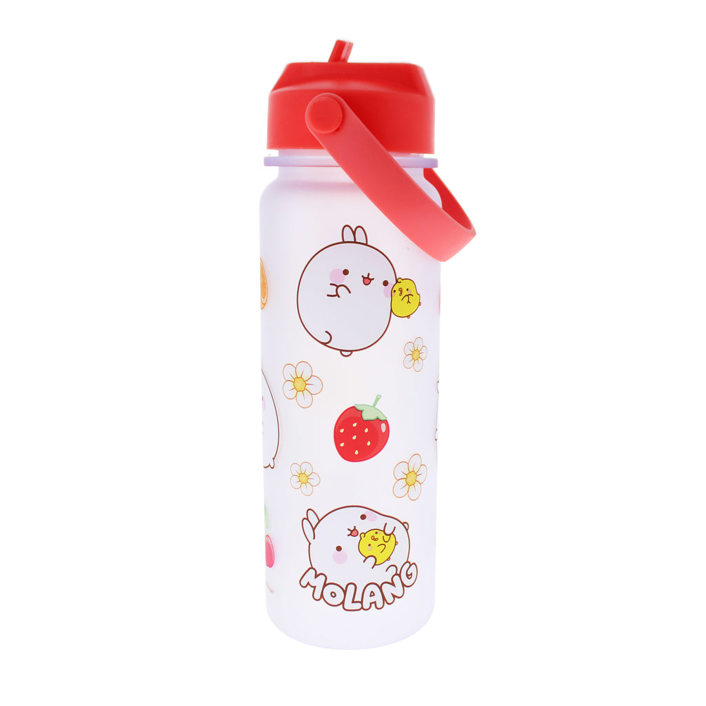 Molang Fruits Water Bottle