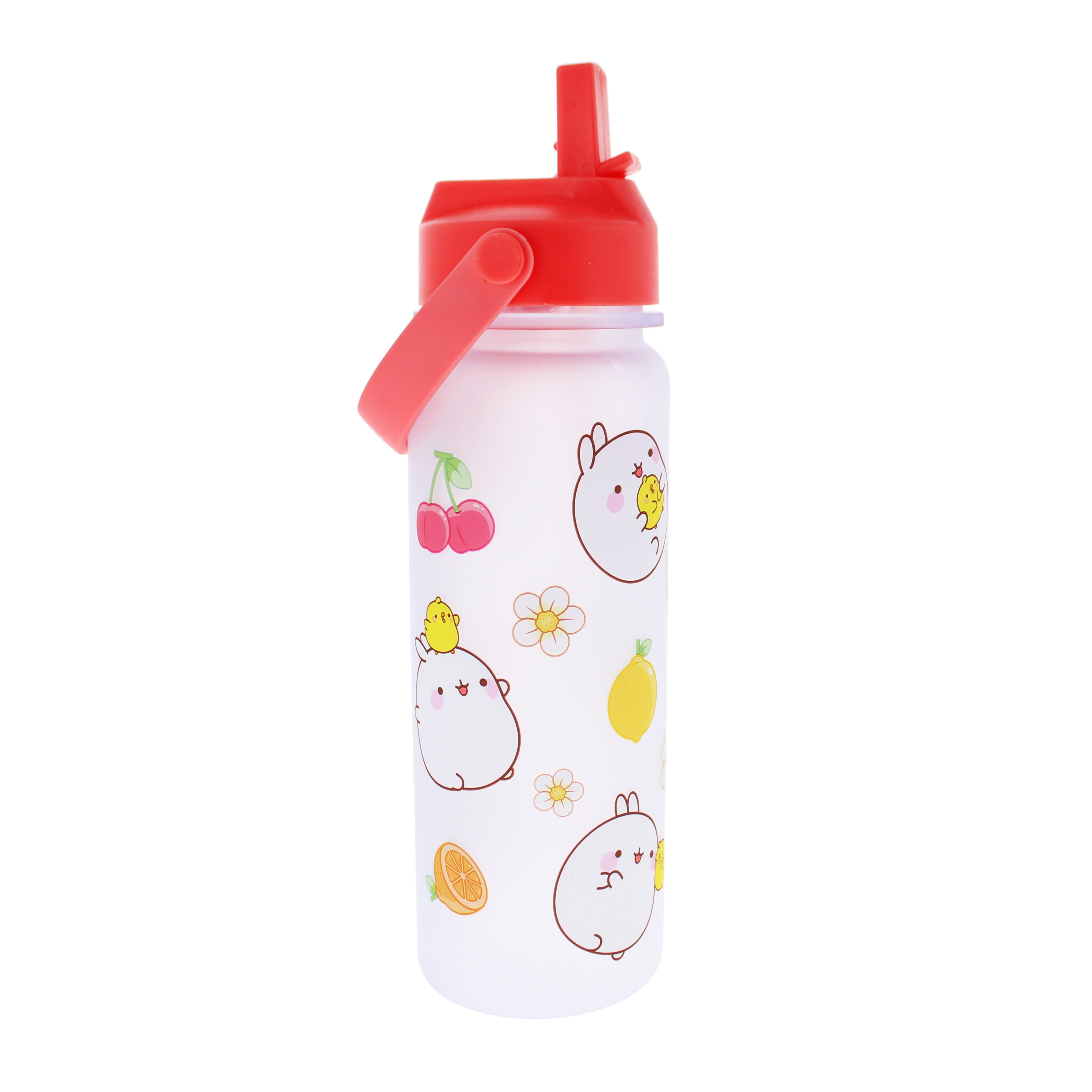 Molang Fruits Water Bottle