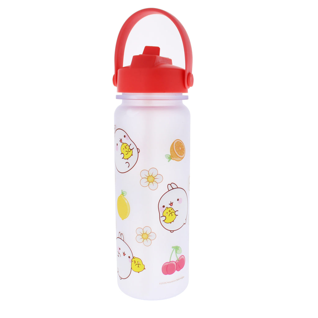 Molang Fruits Water Bottle
