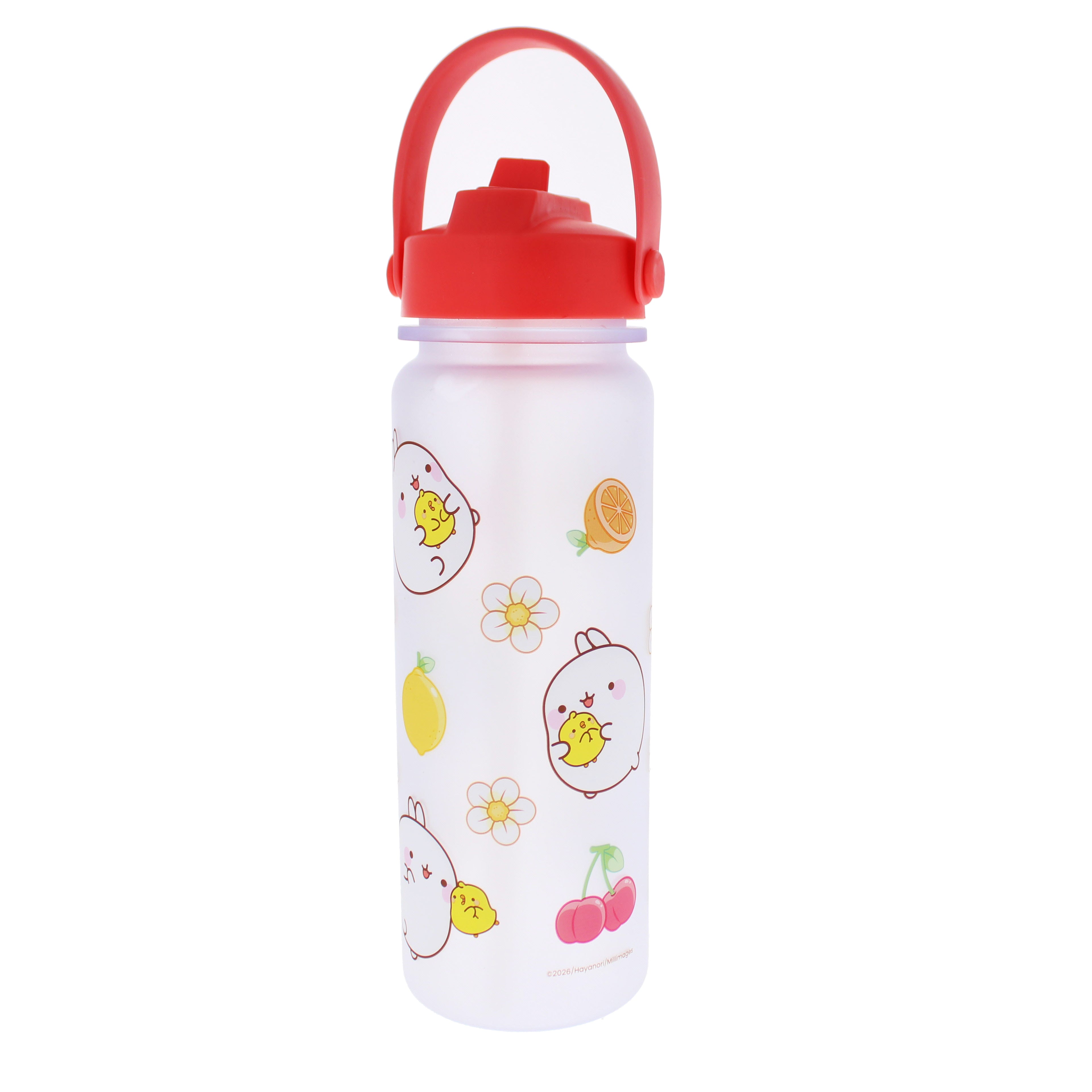 Molang Fruits Water Bottle