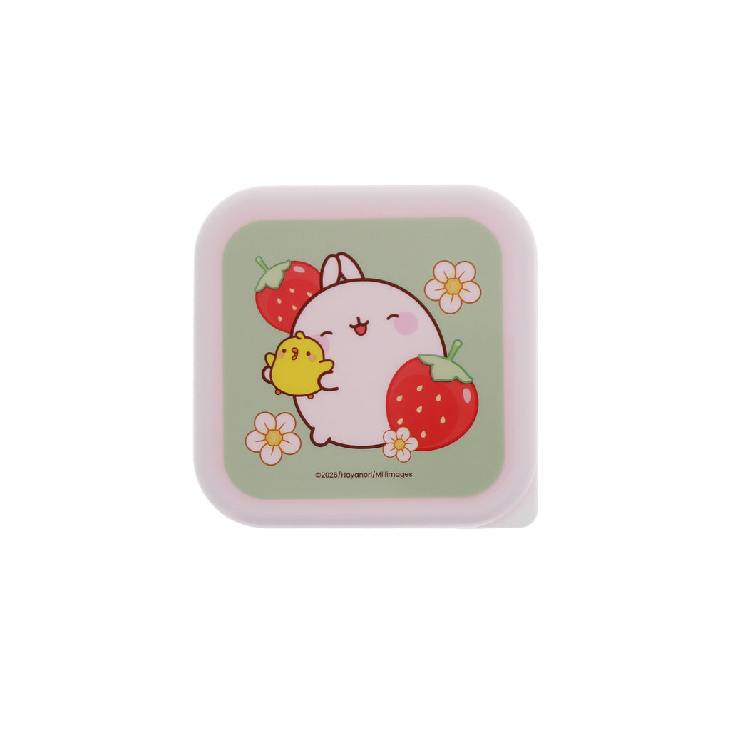 Molang Fruits Storage Pots